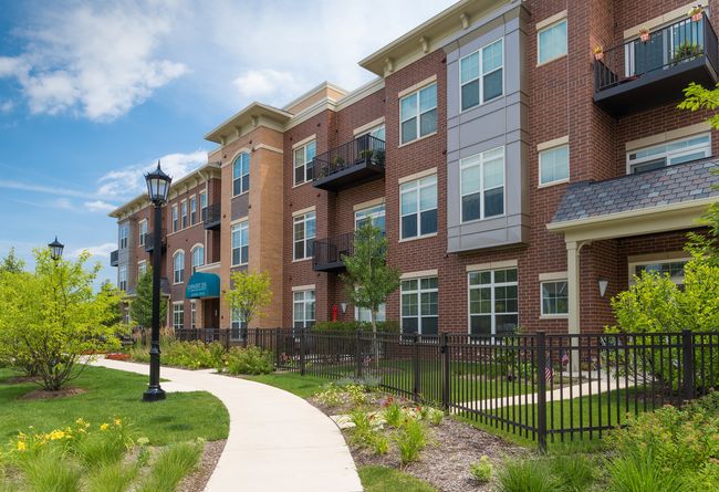 APT-543 - 255 N Addison Ave, Condo with 2 bedrooms, 2 bathrooms and 332 parking in Elmhurst IL | Image 9