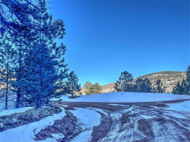 1174 Monarch Dr, Home with 0 bedrooms, 0 bathrooms and null parking in Cripple Creek CO | Image 24