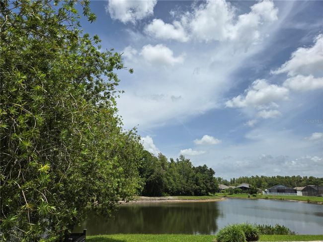 View of pond | Image 18