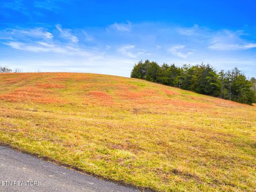 2 Lonesome Pine Rd, Bybee, TN, 37713 | Card Image