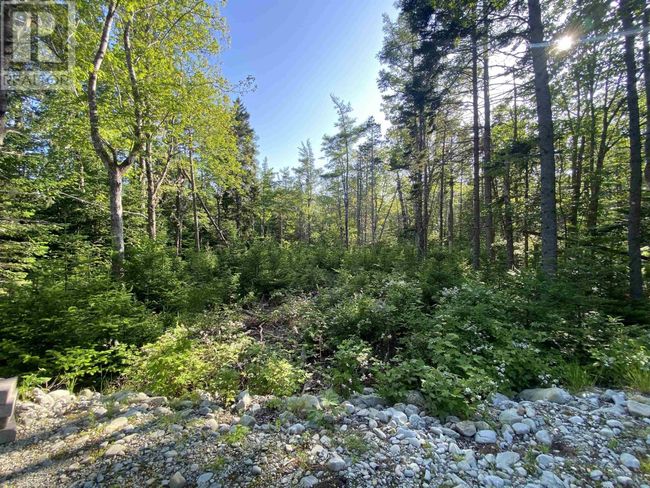 78 White Point 1 Rd, Home with 0 bedrooms, 0 bathrooms and null parking in Hunts Point NS | Image 8