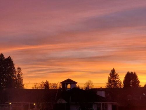 12-20554 118 Ave, Maple Ridge, BC, V2X0S3 | Card Image