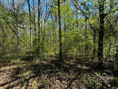 0 Bark Dr, Shiloh, TN, 38376 | Card Image