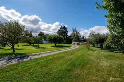 Home to over 30 fruit trees - several varieties of pear, apple, cherry, Asian pear, plums with an abundance of blueberry, including pink lemonade, blackberry, and raspberry bushes. Also with walnut, and hazelnut trees and numerous other trees, plants, and perennials. Plus roses, lilies....too many to list! | Image 3