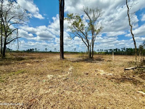 Tbd Old Lowery Rd, Red Springs, NC, 28377 | Card Image