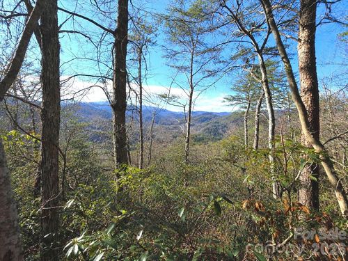 81 Lucerne Dr, Canton, NC, 28716 | Card Image