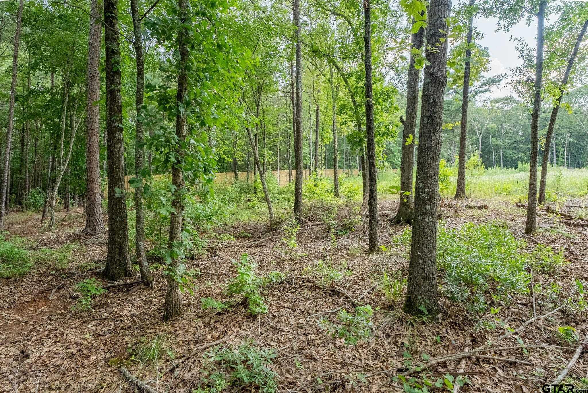 Land in Tyler 3