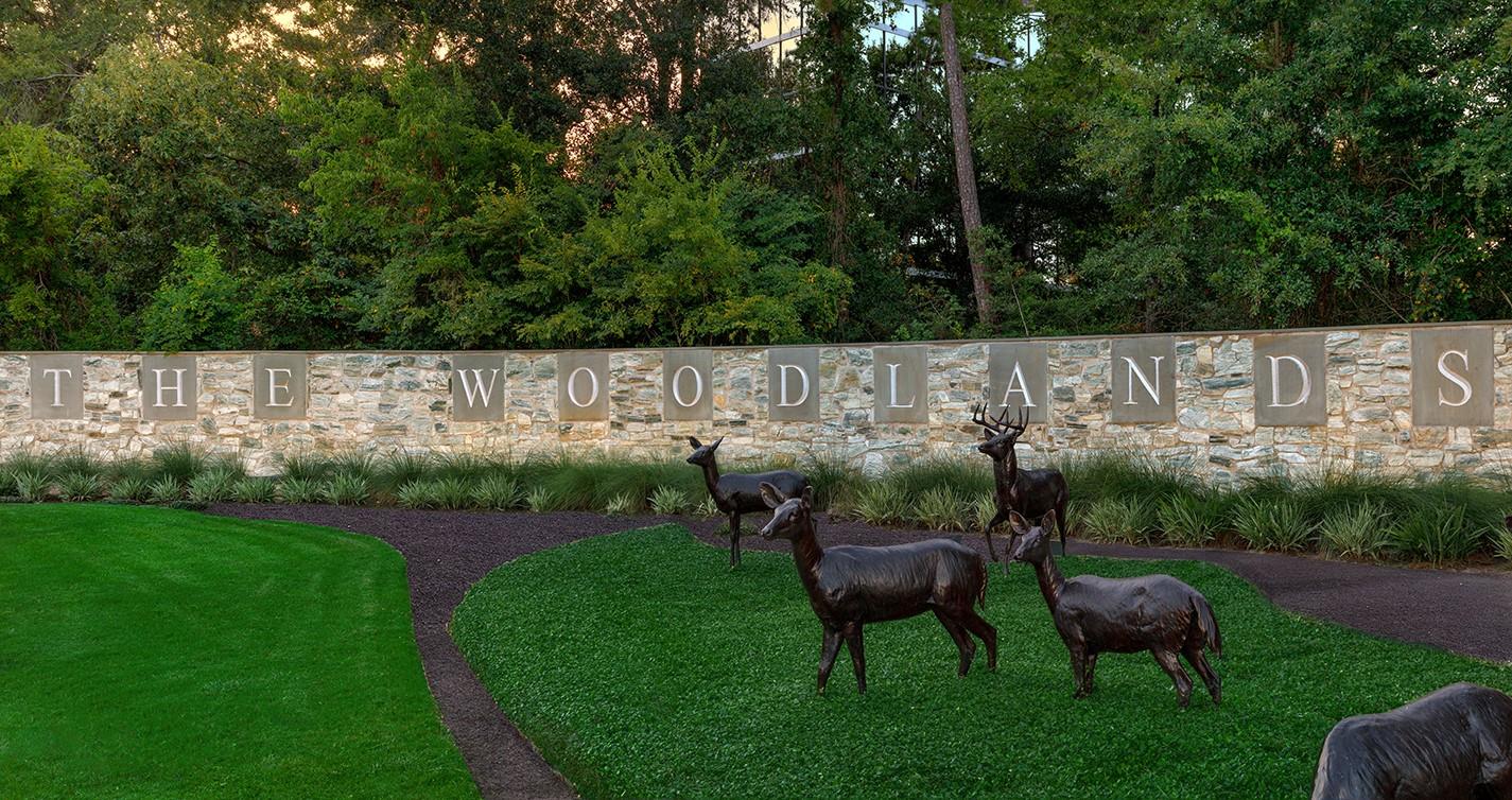 Residential in The Woodlands 3