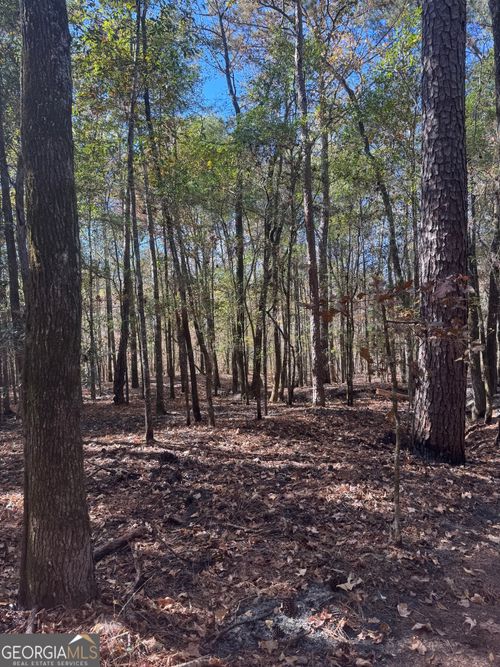 151 W Drummond Rd, West Point, GA, 31833-5073 | Card Image