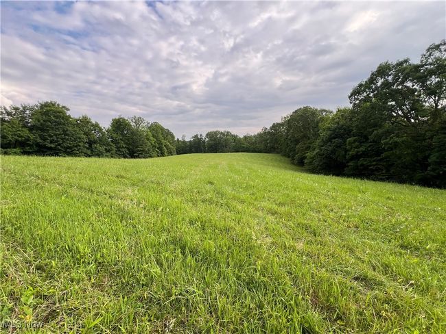 View of yard featuring a wooded view and a view of rural / pastoral area | Image 8
