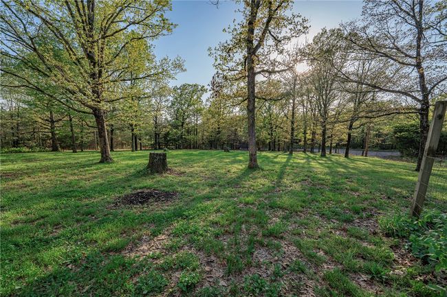 Large fenced front yard | Image 16