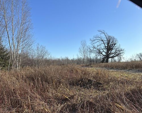 20 acres Cloverland Rd, Conrath, WI, 54731 | Card Image