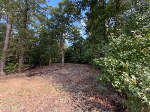 21 Hannah Drive, Chocowinity, NC, 27817 | Card Image