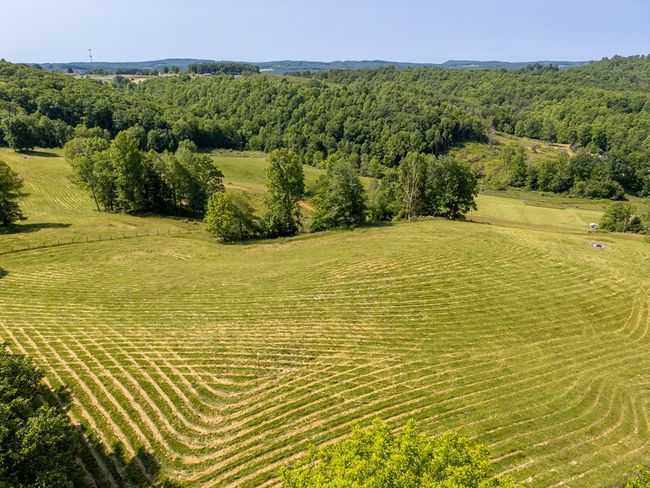 688 Gibson Knob Rd, Home with 0 bedrooms, 0 bathrooms and null parking in Laurel Fork VA | Image 35