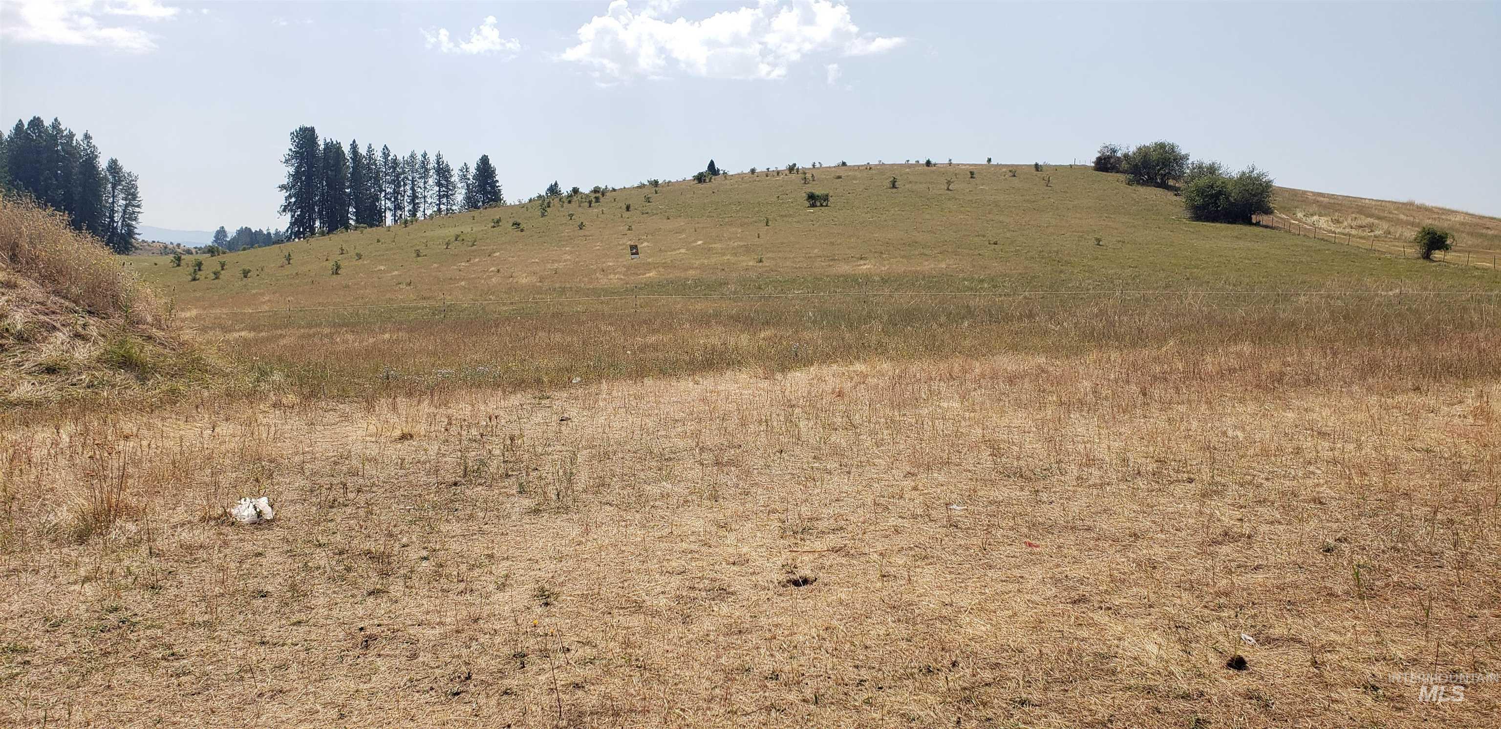Leitch Creek Rd, Kooskia, ID 83539