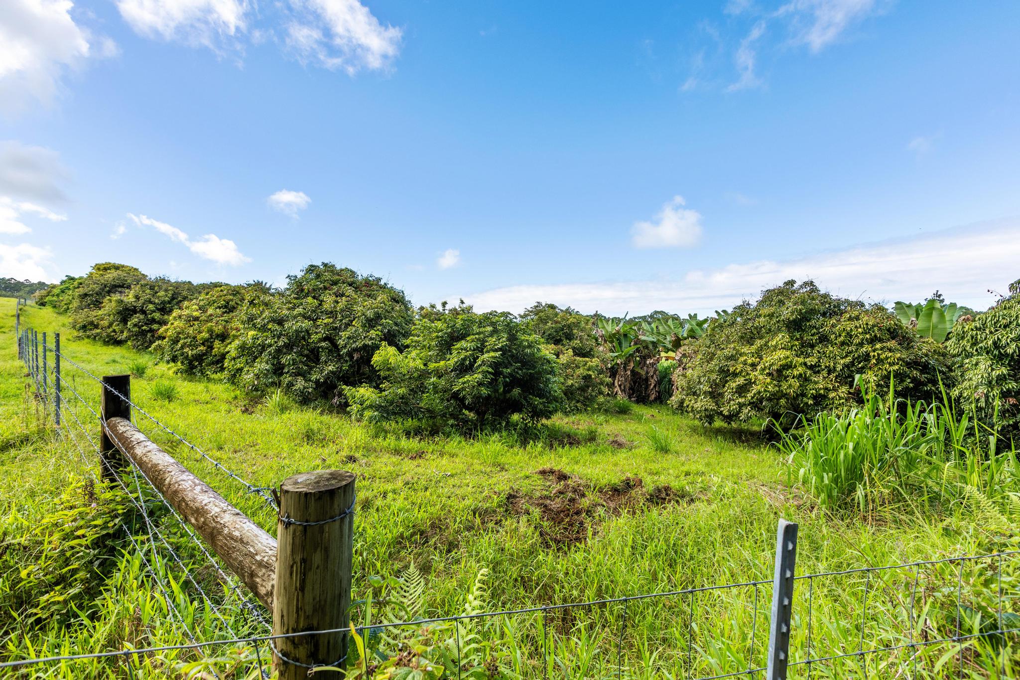 Land in Hakalau 5