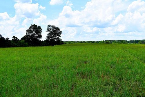 8034 E County Road 212, Buffalo, TX, 75831-6188 | Card Image
