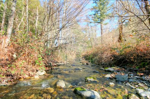 5222-5000 Thompson Creek Rd, Applegate, OR, 97530-9508 | Card Image