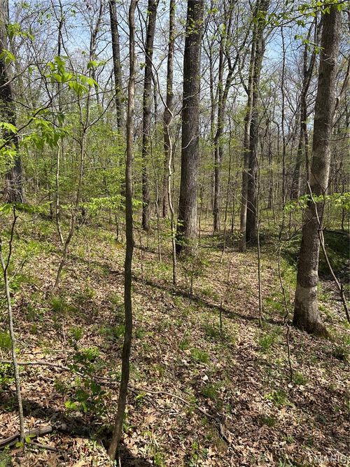 000 Metcalf Rd, Iuka, IL, 62849 | Card Image