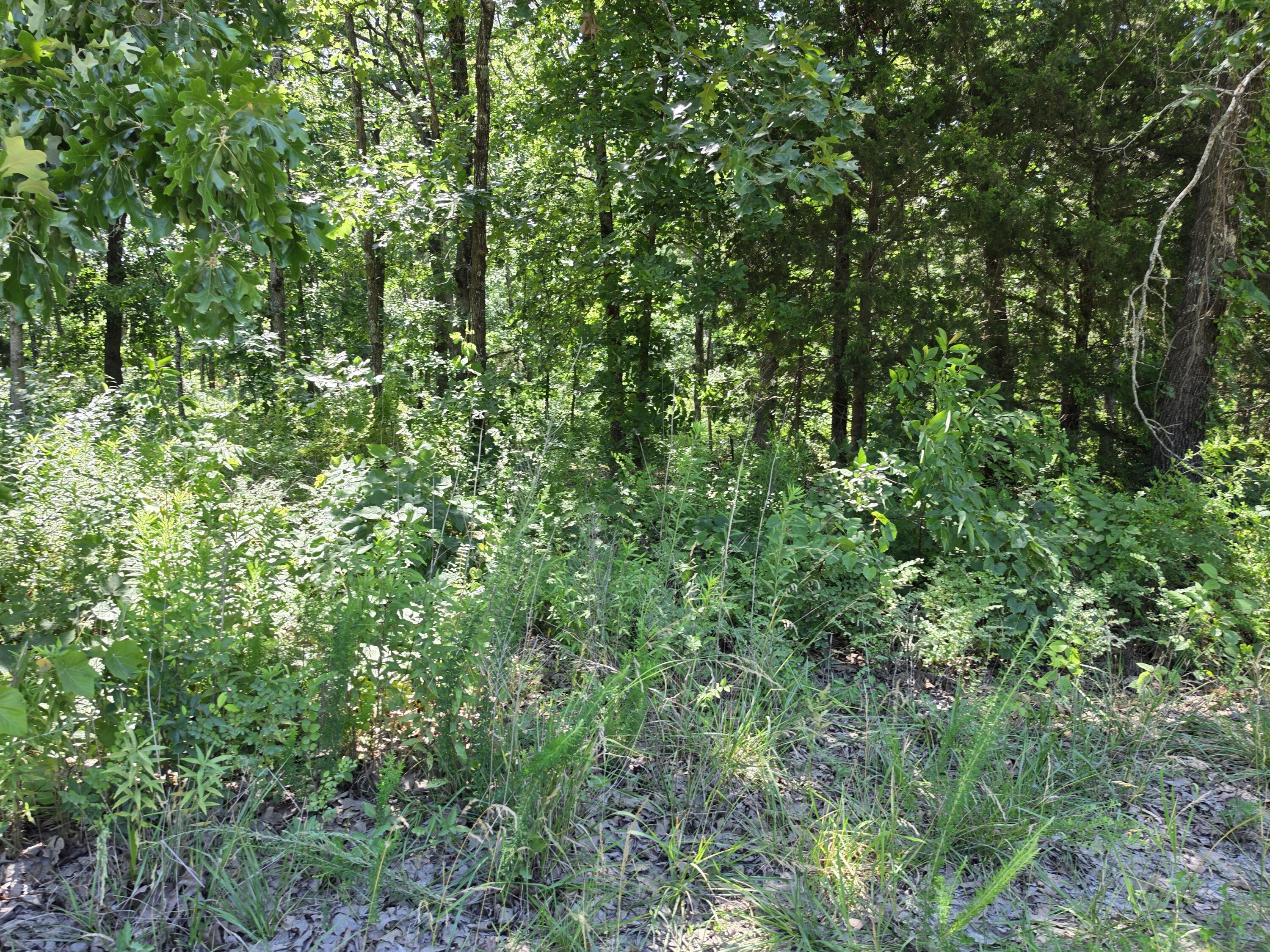 Land in Fordland