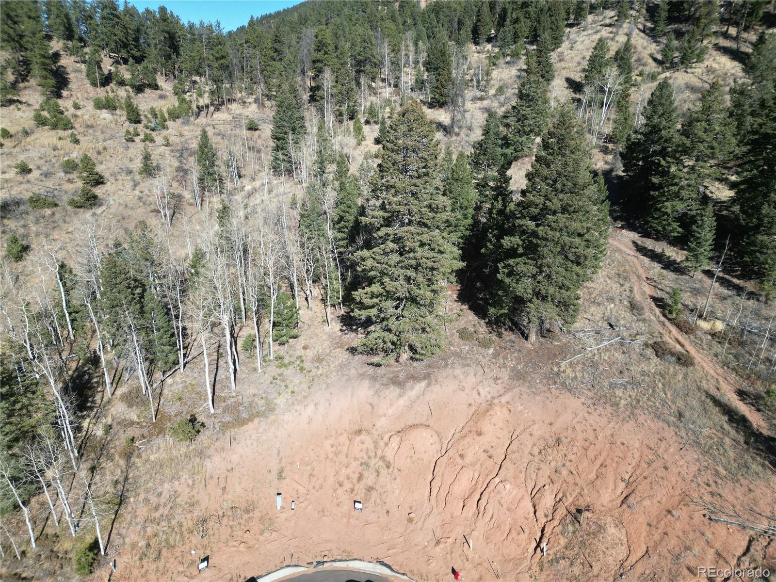 Land in Woodland Park