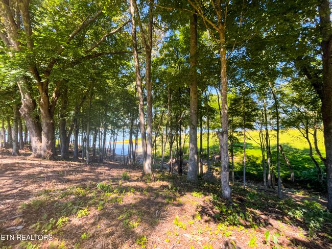 51 Sunset Blvd, Home with 0 bedrooms, 0 bathrooms and null parking in White Pine TN | Image 18