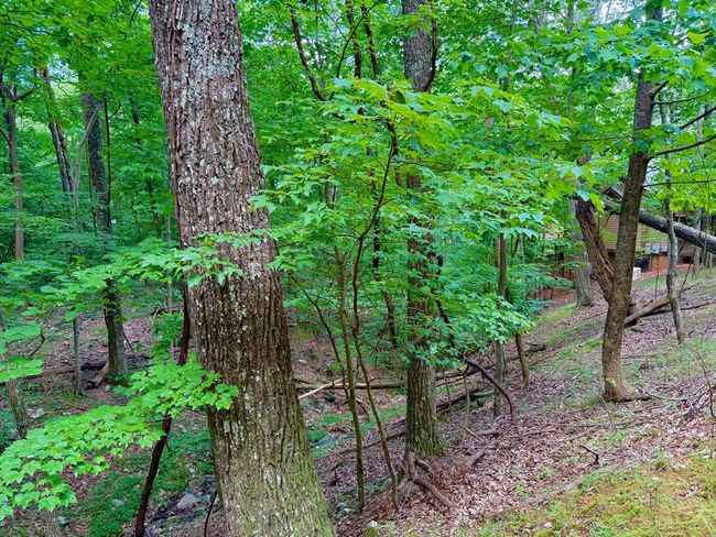 3238 Coffey Cove Dr, Home with 0 bedrooms, 0 bathrooms and null parking in Jasper GA | Image 11