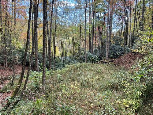 Lot 17 Black Bear Trl, Topton, NC, 28781 | Card Image