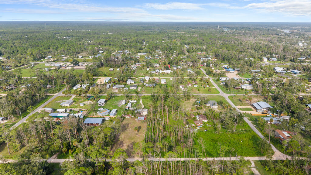 Land in Steinhatchee 5