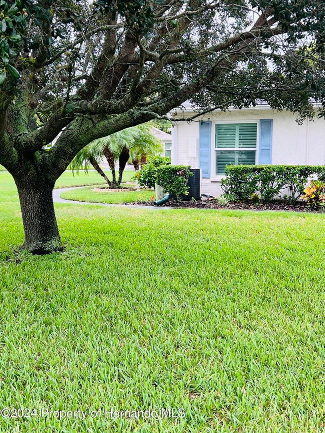 APT-1 - 8141 Bugle Ct, Condo with 2 bedrooms, 2 bathrooms and null parking in Port Richey FL | Image 25