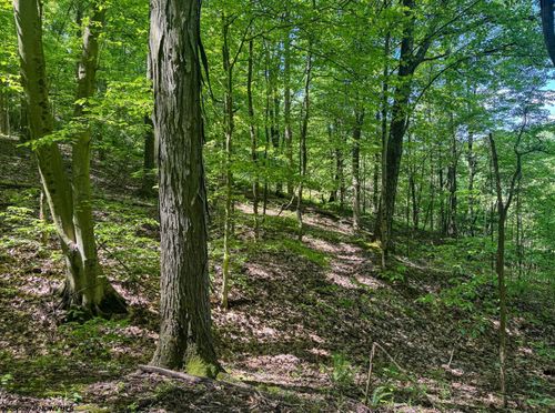 TBD Rush Run Rd, Fairview, WV, 26570 | Card Image