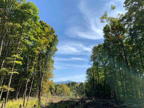 00 Vt Route 14 N, East Montpelier, VT, 05651 | Card Image