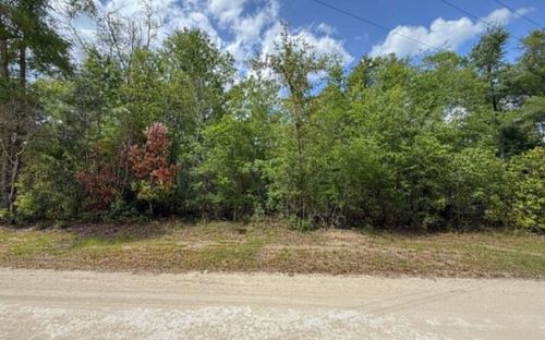 TBD 282nd Ter, Branford, FL, 32008 | Card Image
