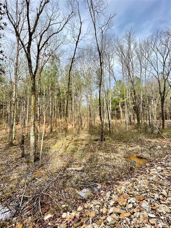 Land in Broken Bow 3