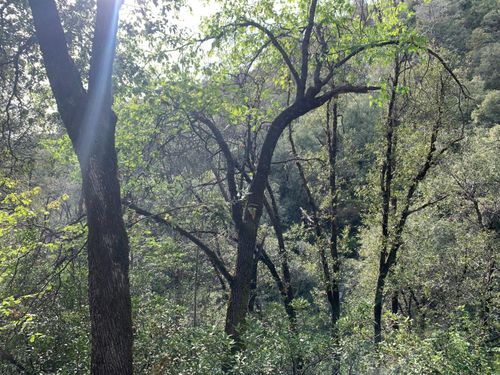1885 Pennsylvania Gulch Rd, Murphys, CA, 95247 | Card Image