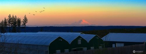 21525 Undisclosed, Quilcene, WA, 98376 | Card Image