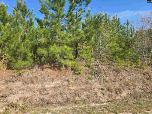 592 Mt Zion Road, Camden, SC, 29020 | Card Image