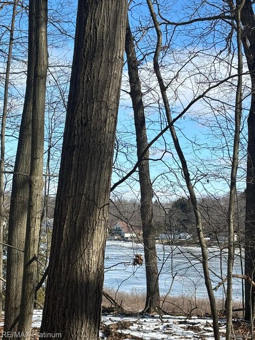 V/L Tipsico Lake Road, Rose Township, MI, 48442 | Card Image
