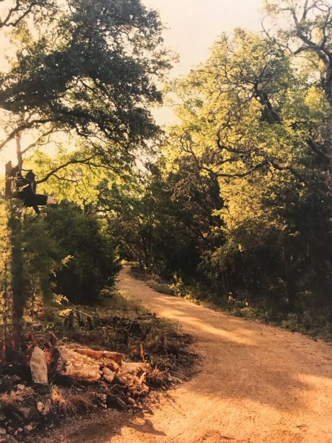 View of landscape | Image 10