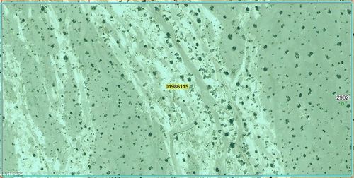 2902 N Falcon Rd, Amargosa Valley, NV, 89020-9964 | Card Image