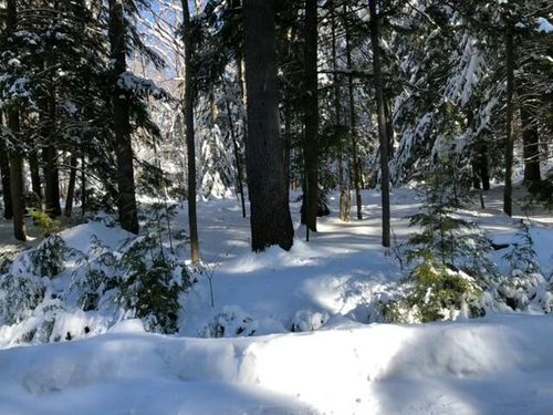 10-10 Merriman Drive, Bethel, ME, 04217 | Card Image