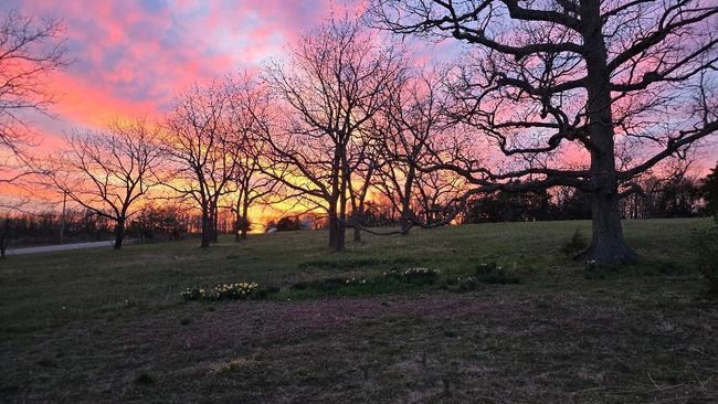 sunset | Image 43