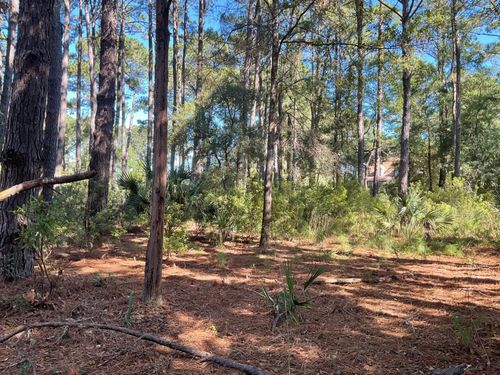 8366 Palmetto Rd, Edisto Island, SC, 29438-6898 | Card Image