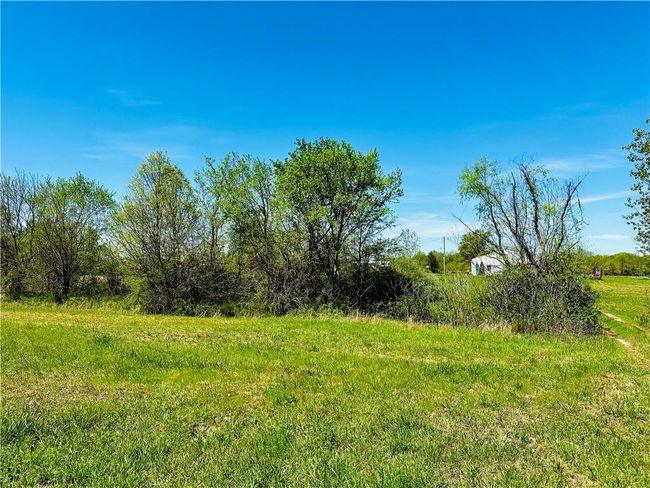 View of driveway going to house | Image 13