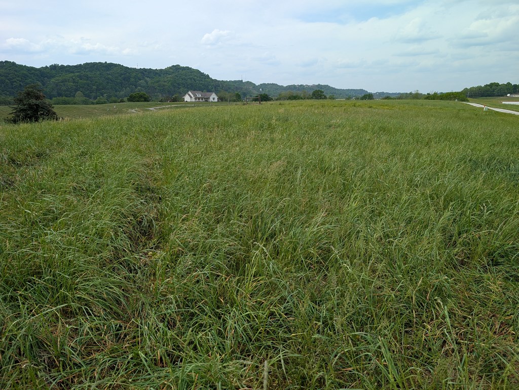 Land in Burkesville 2