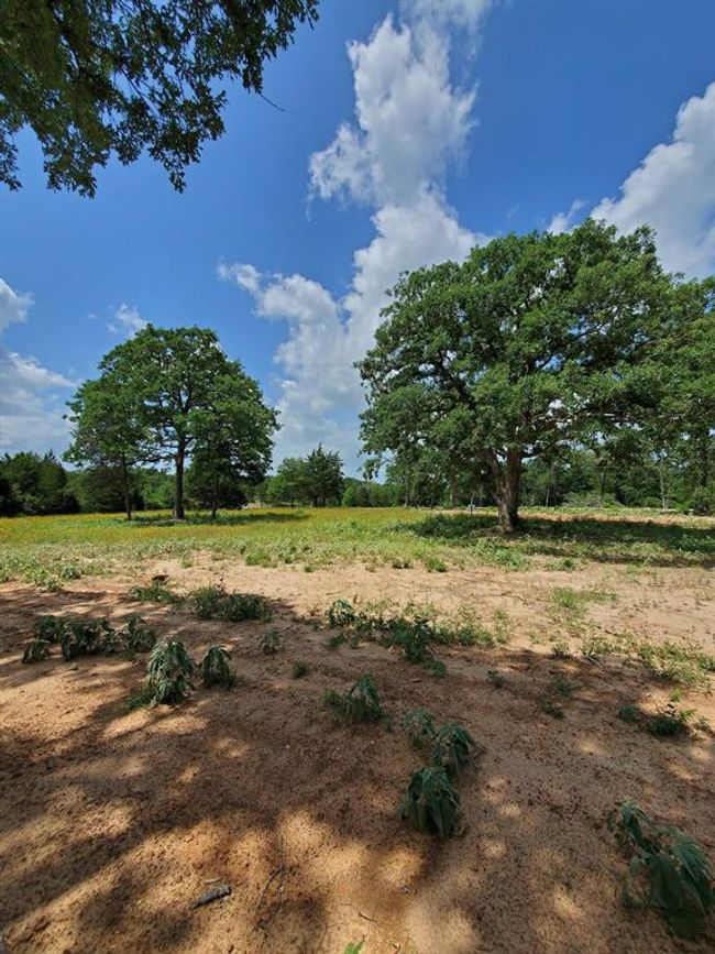21 Cr 389, Home with 0 bedrooms, 0 bathrooms and null parking in Jewett TX | Image 9