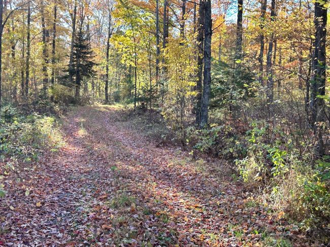 333-ACRES - ON Double Bend Rd, House other with 2 bedrooms, 1 bathrooms and null parking in Argonne WI | Image 40