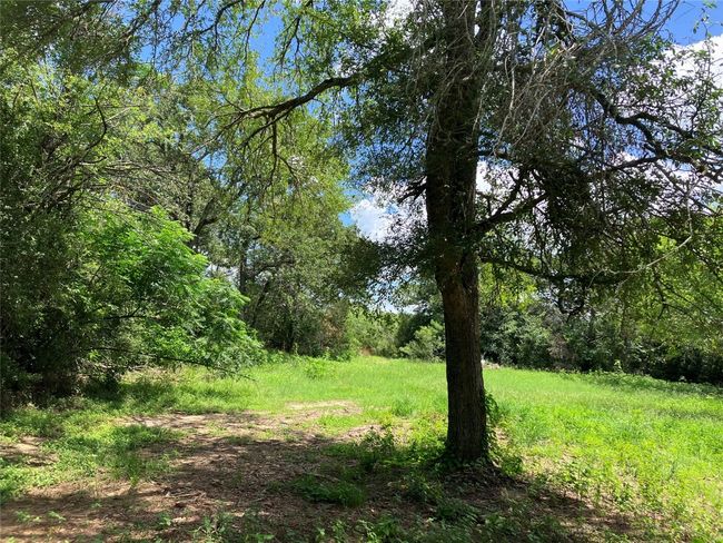 Property is secluded with mature native trees. | Image 5