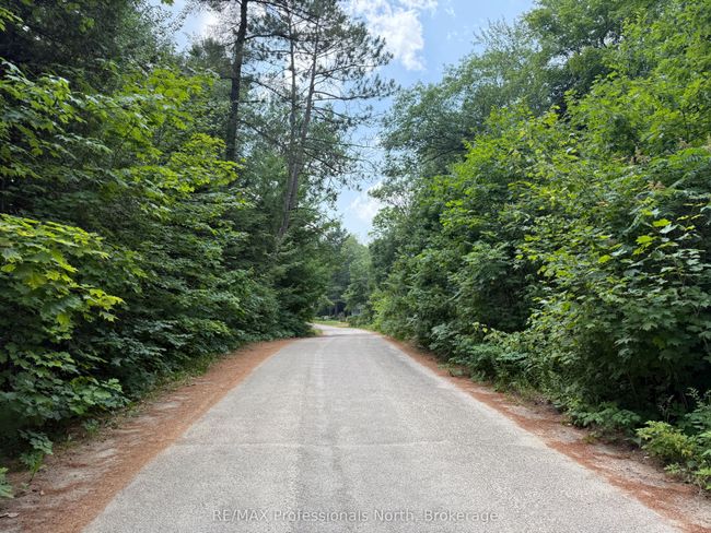 0 Halls Lake Rd, Home with 0 bedrooms, 0 bathrooms and null parking in Algonquin Highlands ON | Image 9