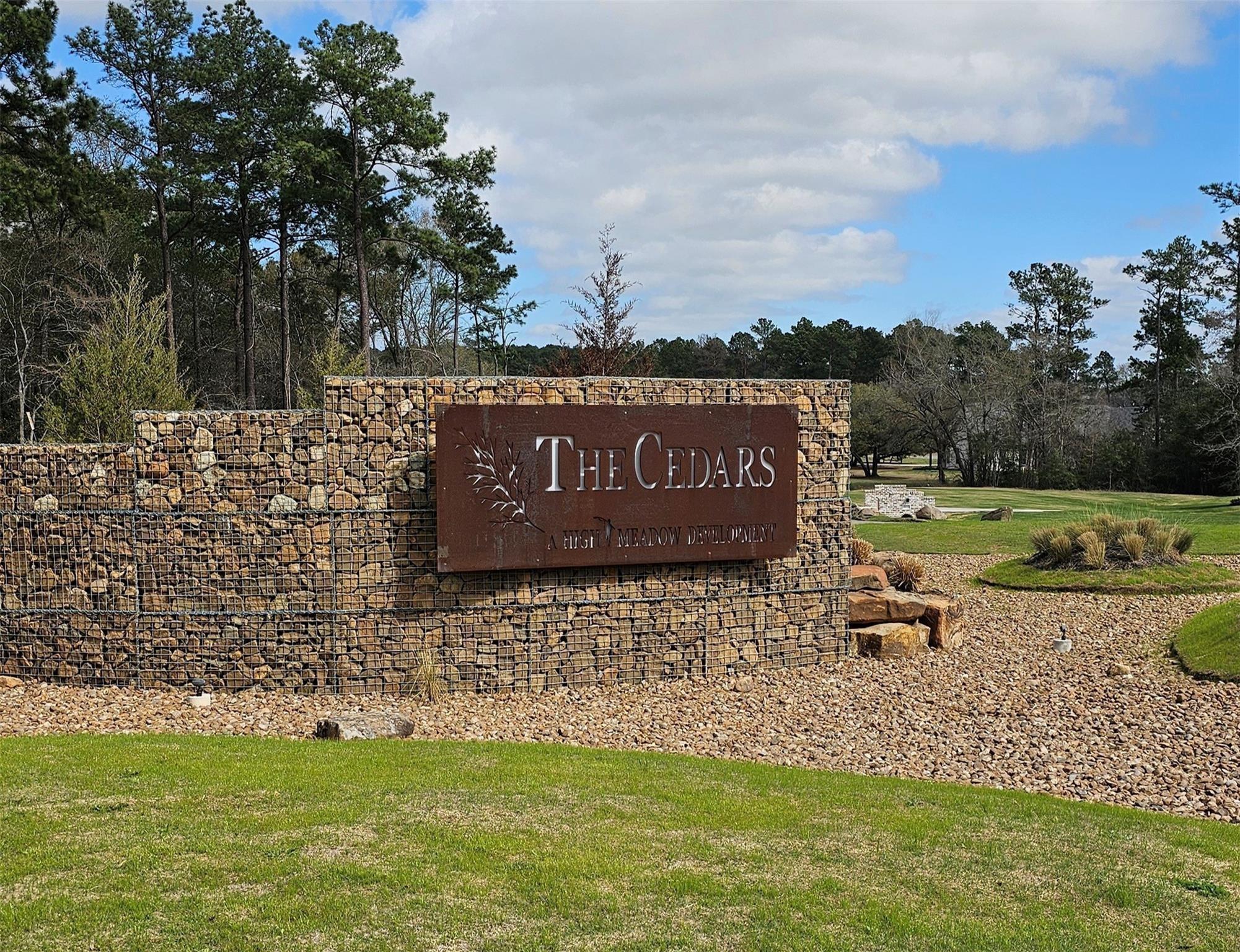 Land in Plantersville 3